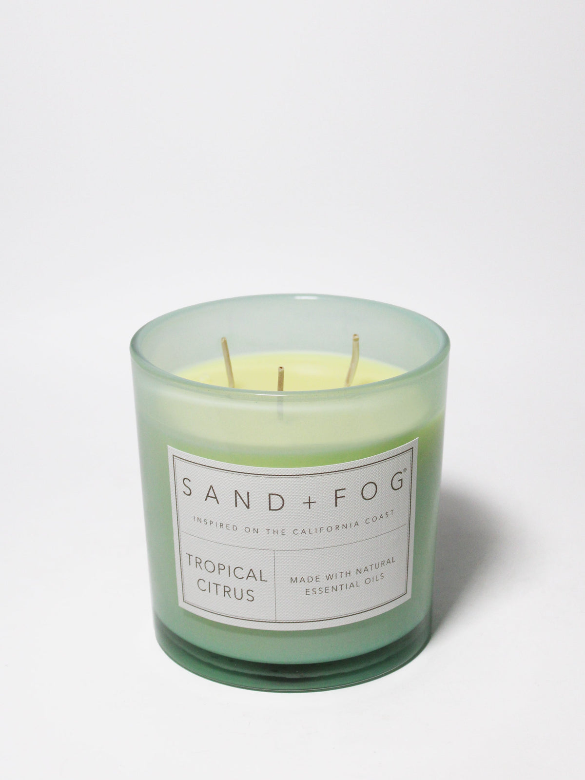 Tropical Citrus 21 oz scented candle