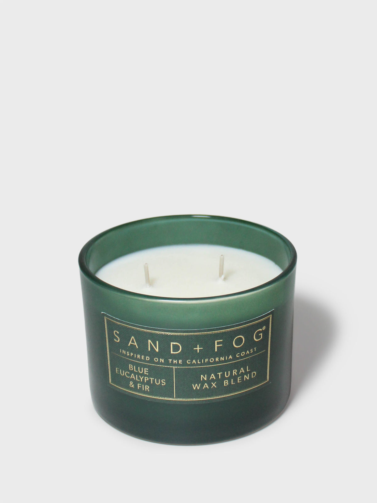 Blue Eucalyptus & Fir 12 oz scented candle