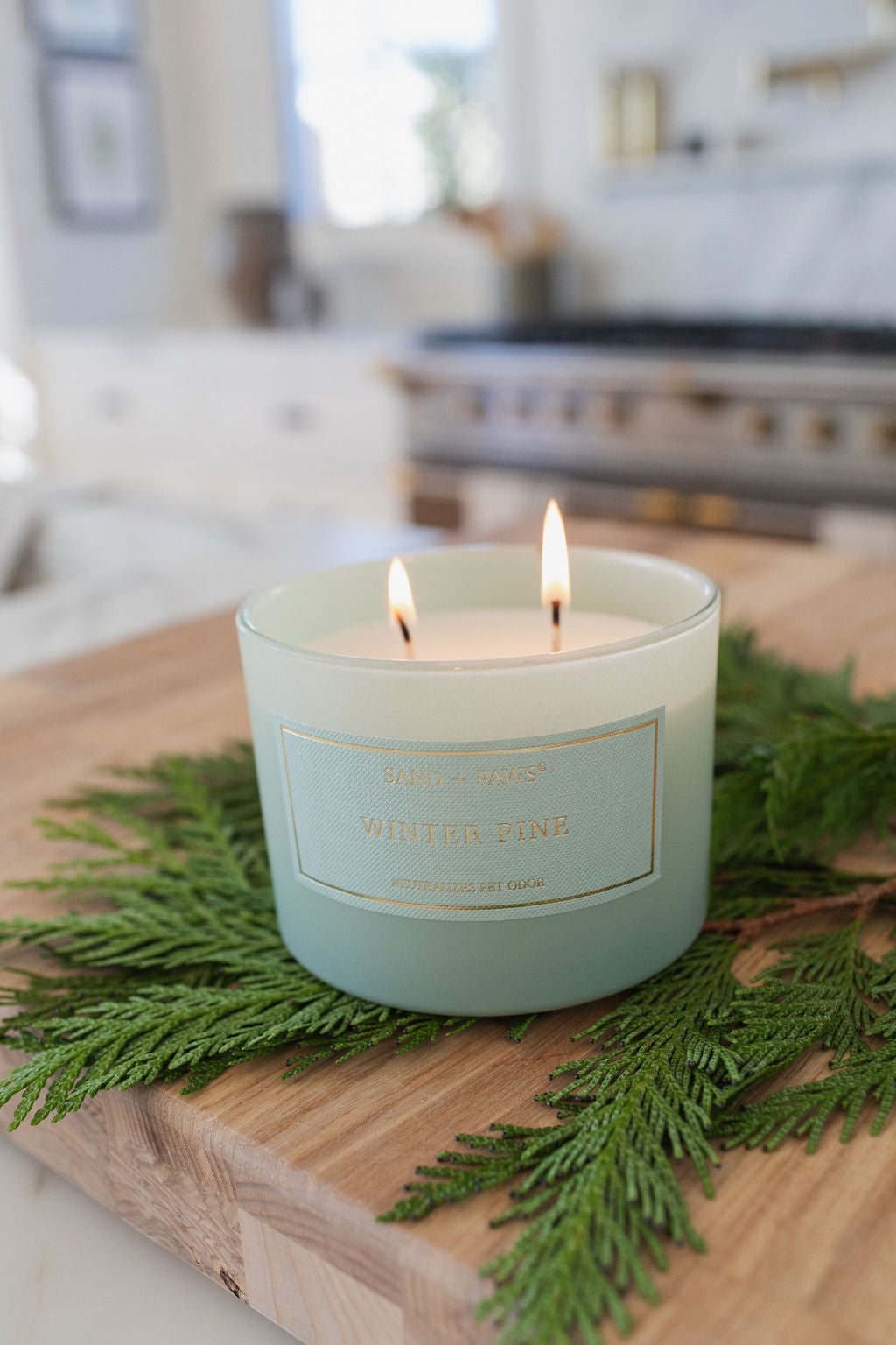Sand + Paws Winter Pine 12oz scented candle